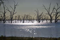 20241029180743_Sunset_Reflections_on_Menindee_Lake