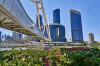 Modern Brisbane Skyline with Neville Bonner Bridge 