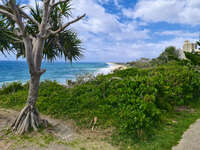 Scenic Coastal View in Buddina 