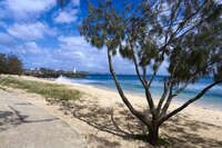 Point Cartwright Beach View 