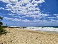 Sunny Day at Buddina Beach 