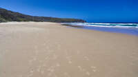 Expansive Sandy Beach at Sunshine Beach 