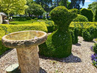 Topiary and Birdbath at Laurel Bank Park 