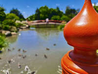 Japanese Gardens Bridge 