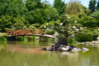 Serene Japanese Garden Bridge 