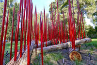 20241103174731_Red_Glass_Spires_in_Botanical_Garden