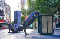 20241103184256_Bronze_Pig_Sculptures_in_Rundle_Mall