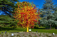 20241104172929_Vibrant_Glass_Sculpture_in_a_Park