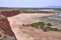 Coastal Landscape in Port Augusta 