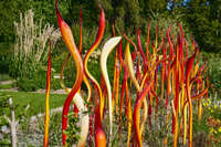 Vibrant Glass Sculptures in Garden 