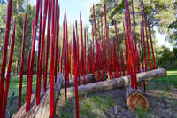 Red glass spires on logs in garden 