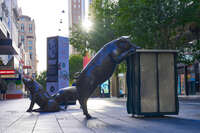 Bronze pig sculptures at Rundle Mall 