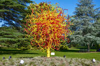 Vibrant Glass Sculpture in Park 