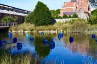 Blue Glass Sculptures in Tranquil Pond 