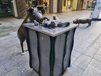 Bronze Pig Sculptures in Rundle Mall 