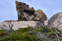 Person exploring Remarkable Rocks 