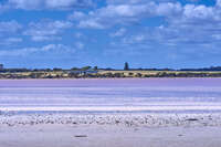 Bay of Shoals in Wisanger 