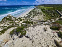 Scenic Overlook at Seal Bay 