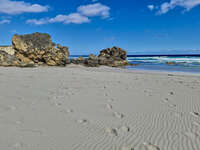 Rocky Outcrops at Seal Bay 