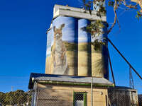 Kangaroo Mural on Silo at Seal Bay 