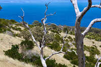 Coastal View from Deep Creek 