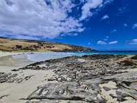 Blowhole Beach Rocks and Shoreline 