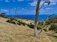 Coastal View from Deep Creek Conservation Park 