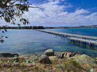 Granite Island Causeway View 