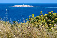 Island View from Victor Harbor 