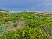 Robe Coastline with Obelisk 