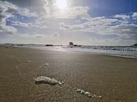 Sunlit Beach at West Beach 