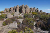 20241001135821_Rock_Formations_in_Wellington_Park