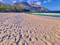 20241003154813_Footprints_on_Freycinet_Beach