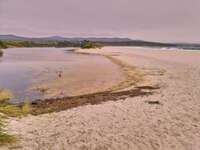 20241004133134_Serene_Beach_at_Binalong_Bay