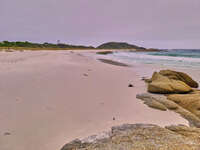 20241004140444_Serene_Beach_at_Binalong_Bay