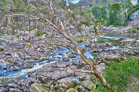 20241005134326_Rocky_Riverbed_of_Cataract_Gorge