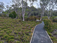 20241006165350_Serene_Pathway_in_Cradle_Mountain