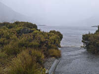 20241007103044_Misty_Morning_at_Cradle_Mountain