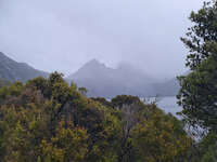 20241007110049_Misty_Peaks_of_Cradle_Mountain