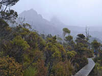 20241007111411_Misty_Pathway_at_Cradle_Mountain