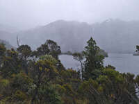 20241007111415_Misty_Morning_at_Cradle_Mountain