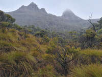 20241007112101_Misty_Peaks_at_Cradle_Mountain