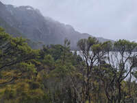 20241007112347_Misty_Morning_at_Cradle_Mountain