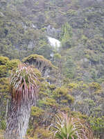 20241007112430_Misty_Morning_at_Cradle_Mountain