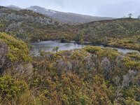 20241007134949_Misty_View_of_Wombat_Pool