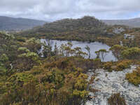 20241007135836_Misty_View_of_Wombat_Pool