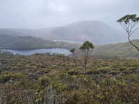 20241007141538_Misty_Landscape_Over_Wombat_Pool