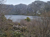 20241007145604_Serene_Lake_at_Cradle_Mountain