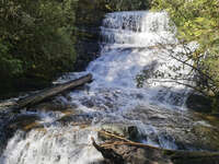 20241009103250_Cascading_Waterfall_in_Mount_Field