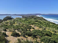 20241009150010_The_Neck_Lookout,_Bruny_Island